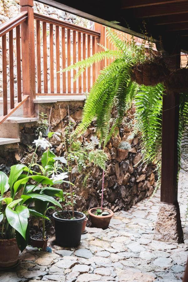 Casa Rural Los Madronos Vallehermoso Dış mekan fotoğraf